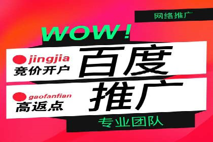 SEM公司案例研究：搜索引擎营销实战经验分享